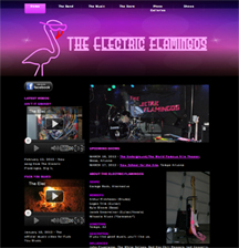The Electric Flamingos