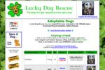 Lucky Dog  Rescue